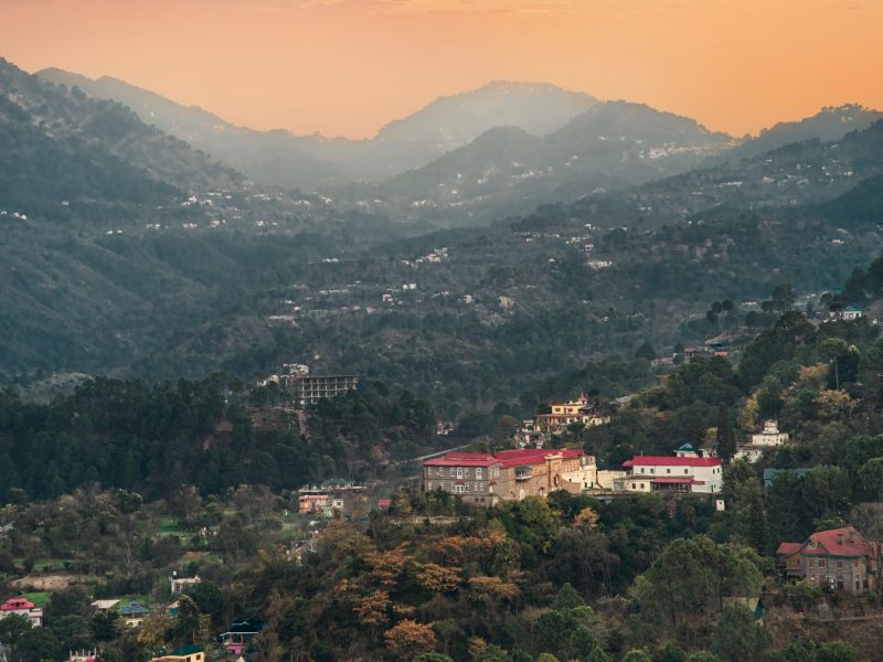 UMA Emphoria Gallery