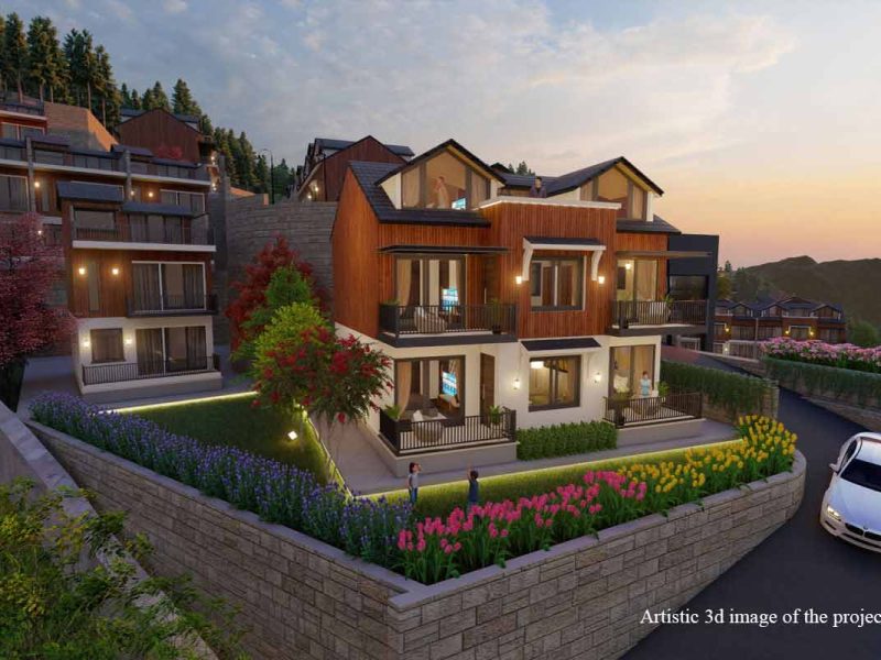 Tara Devi’s Enclave Gallery