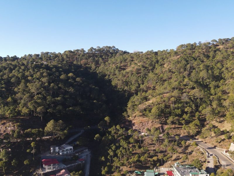 BelAir Hillside Residences Gallery