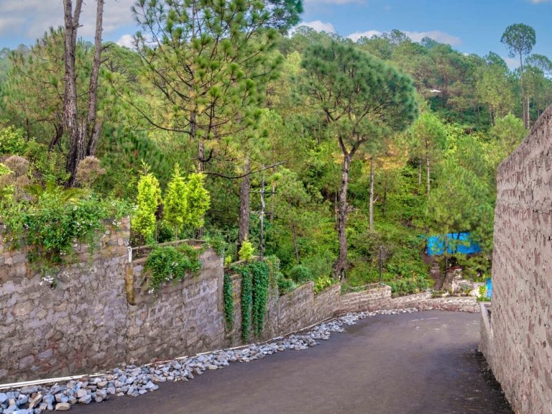 The Hills Kasauli Gallery