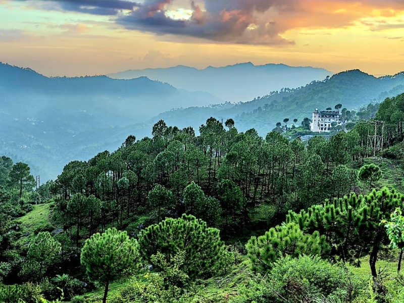 The Hills Kasauli Gallery