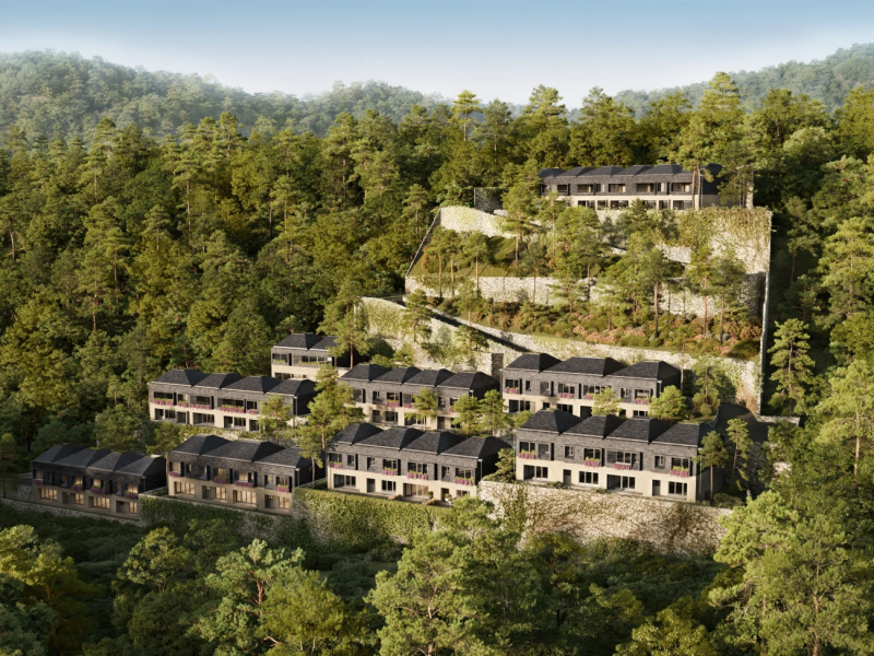 Dappled Light Estate by Vianaar Homes Gallery