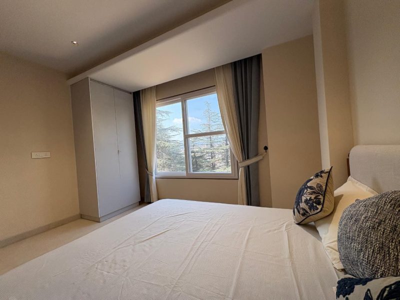 The Forest Chalet Gallery