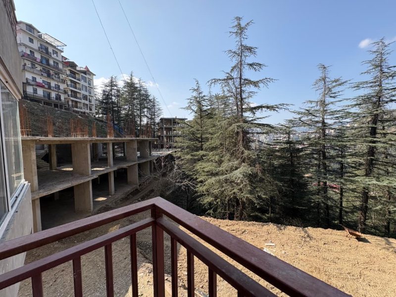 The Forest Chalet Gallery