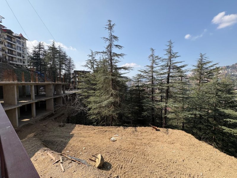 The Forest Chalet Gallery