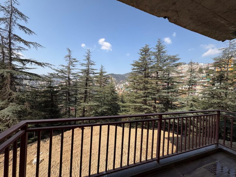 The Forest Chalet Gallery