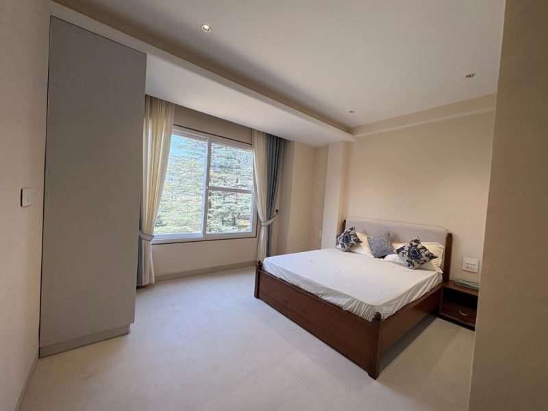 The Forest Chalet Gallery