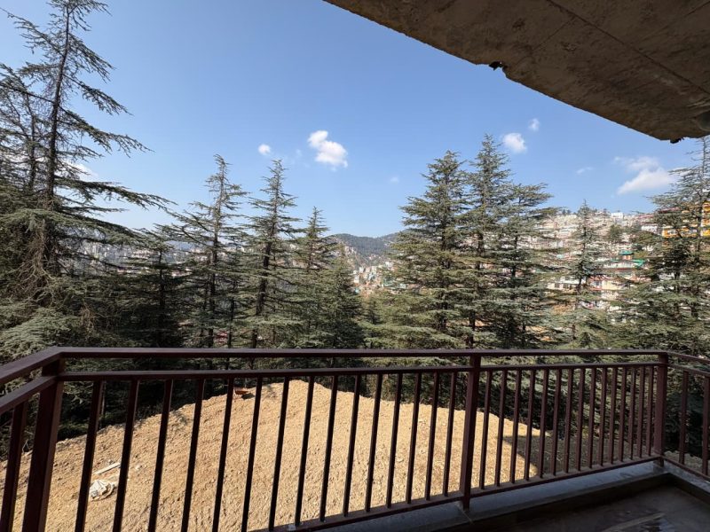 The Forest Chalet Gallery