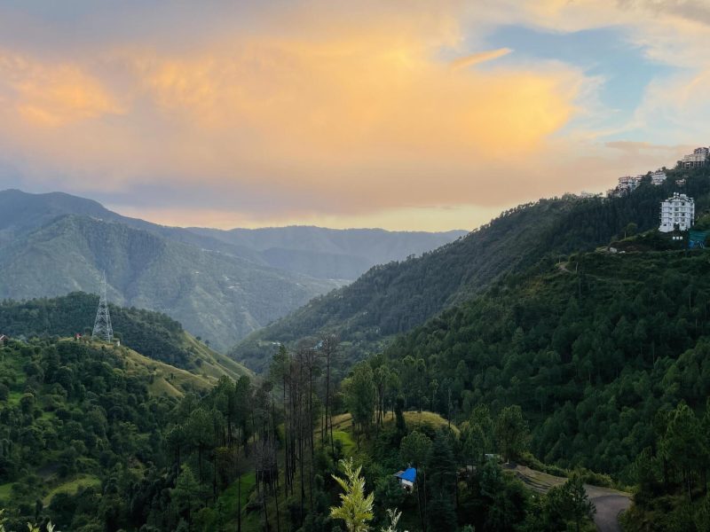 Cliffton Valley Gallery