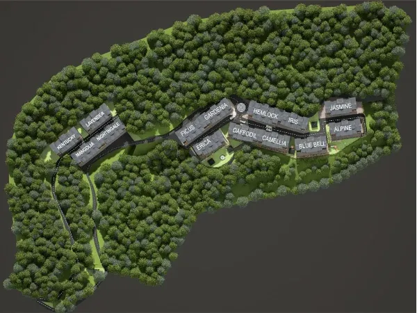 The Forest Chalet Gallery