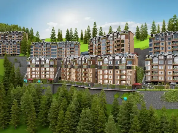 The Forest Chalet Gallery